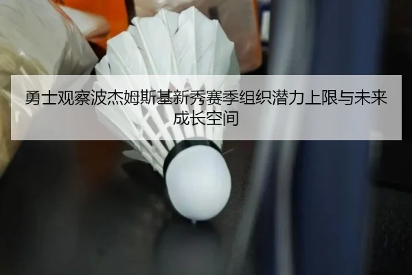 勇士观察波杰姆斯基新秀赛季组织潜力上限与未来成长空间